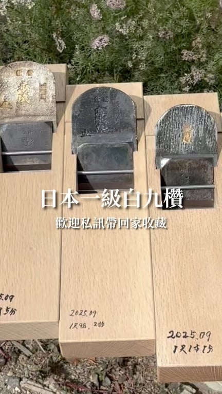 鄭羽茜