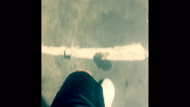 匿名的貓