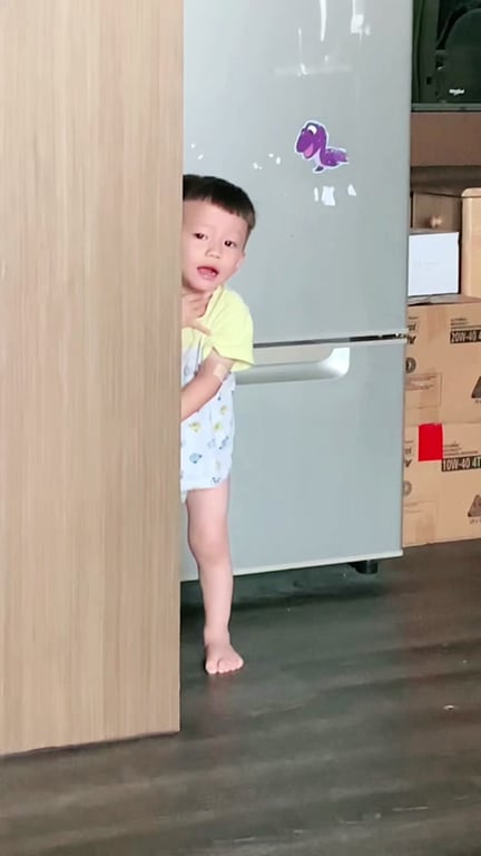 藍中寶