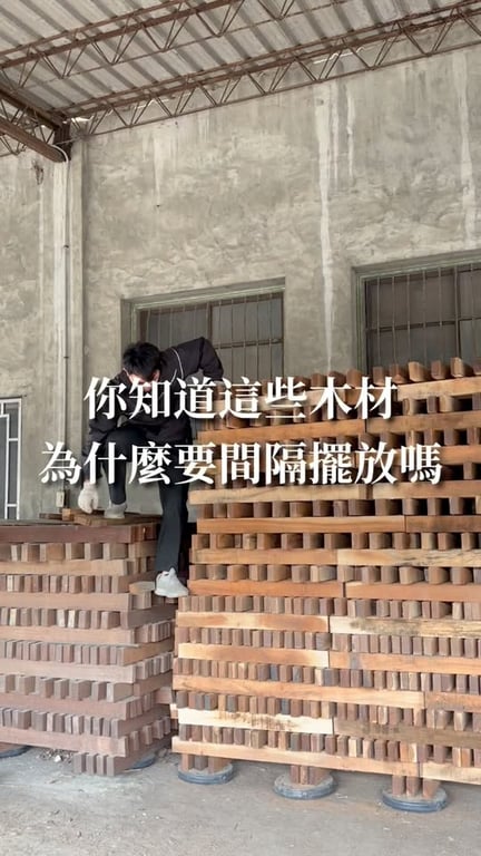 鄭羽茜