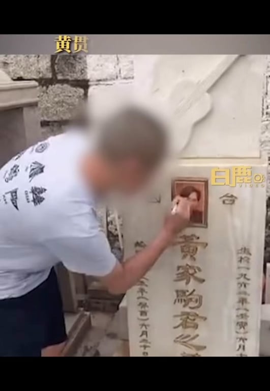 小樂兒