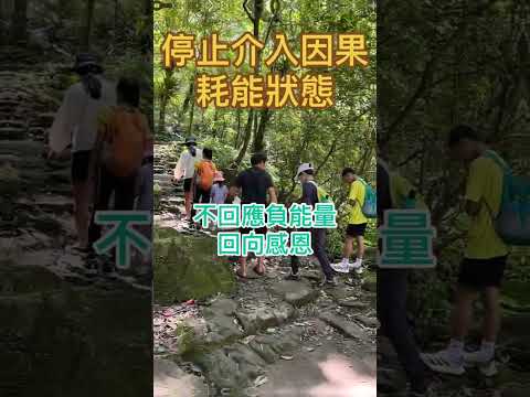 停止介入他人因果而耗能