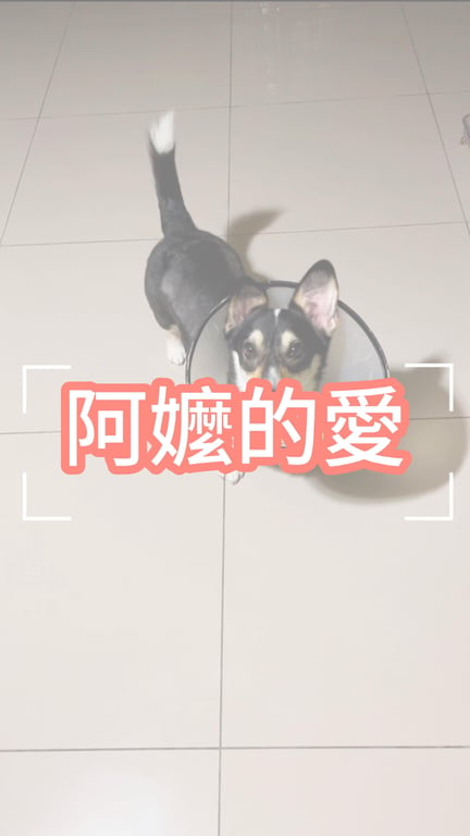 林亞璇