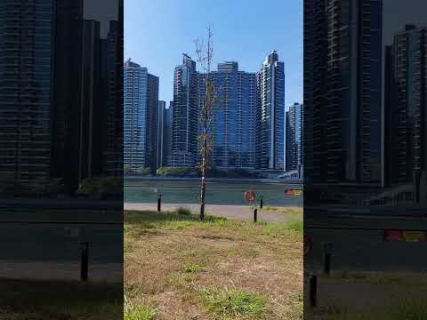 分享生活，影下香港景色優美，感覺舒適