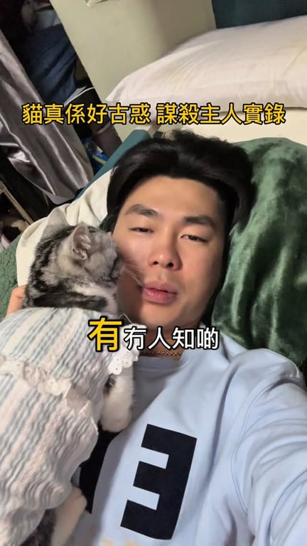 寵物日常