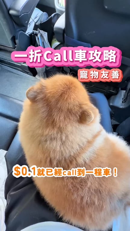 一折call車！仲要寵物友善！大癲！