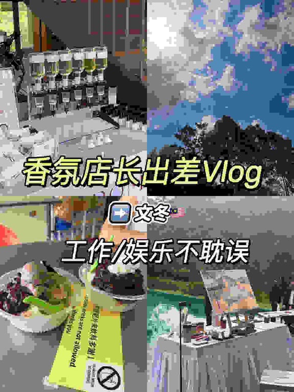 vlog