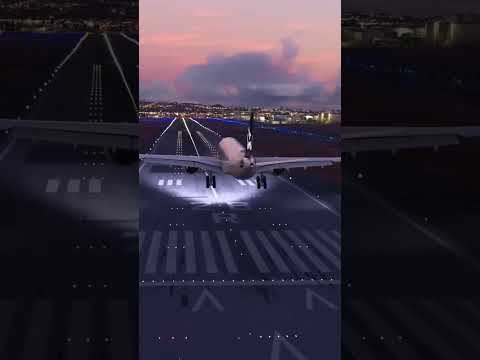 flight
