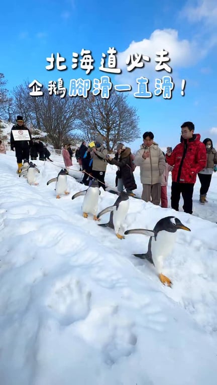 北海道旅遊活動分享