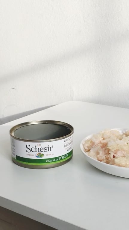 Schesir 狗狗罐头