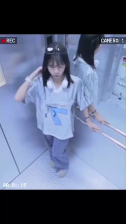 陳佩慈