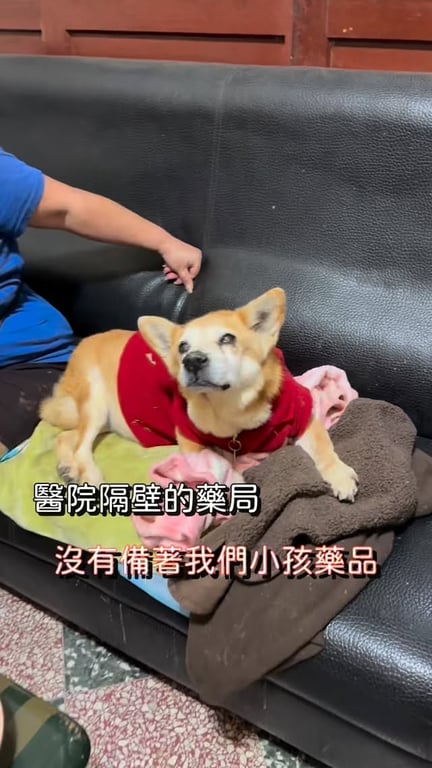 醫藥法宣傳