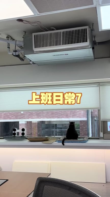 吳思慧