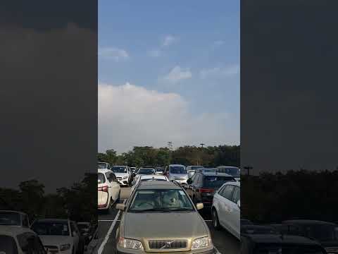 香港迪士尼樂園環境優美