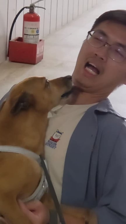 呱嶼