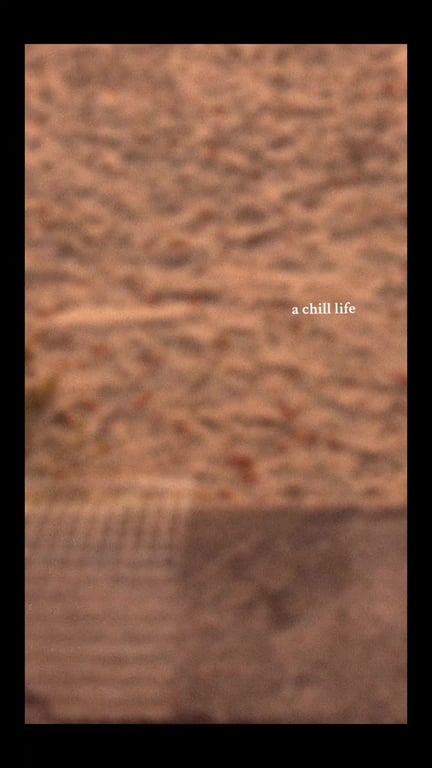 Yuu Life