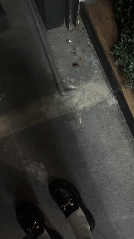 臭蟑螂