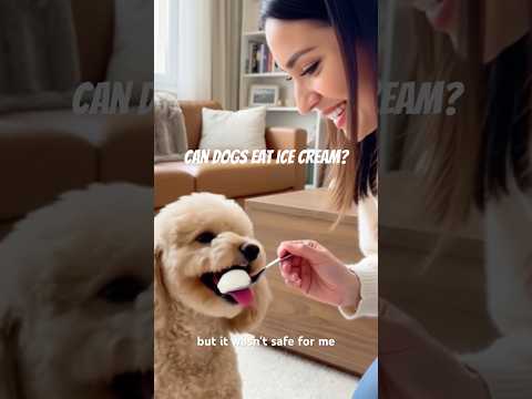 can dogs eat ice cream