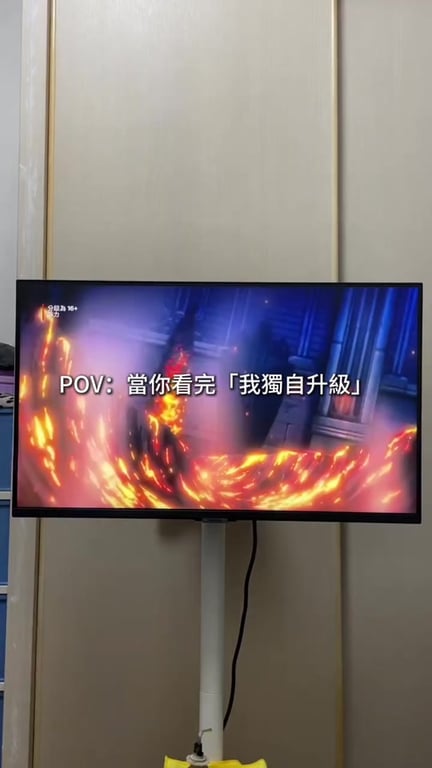 POV:當你看完「我獨自升級」