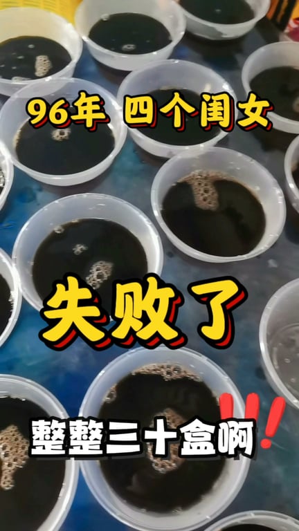 Cold Baobei频道