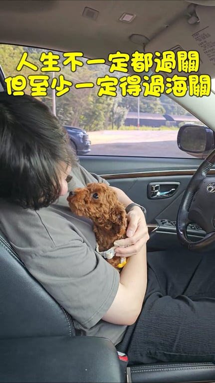 人生不一定都過關，但至少一定得過海關。