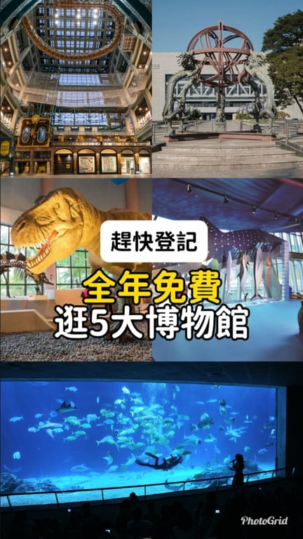 擅長拍知識型