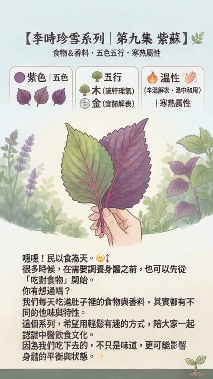 【李時珍雪系列｜第九集 紫蘇】🌿  愛吃沒藥醫🤣｜食物＆香料・五色五行・寒熱屬性 🌿冷知識
