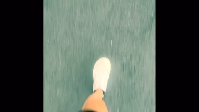匿名的貓