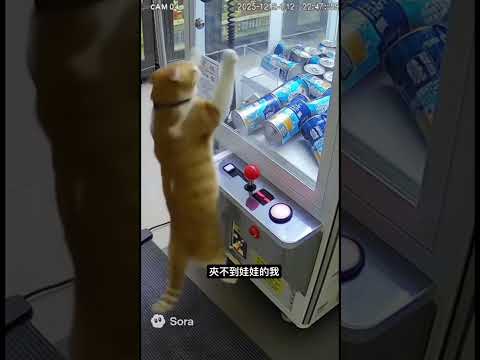 AI創作影片