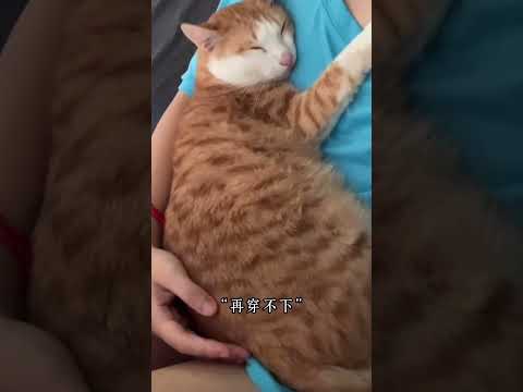 黃昱誌