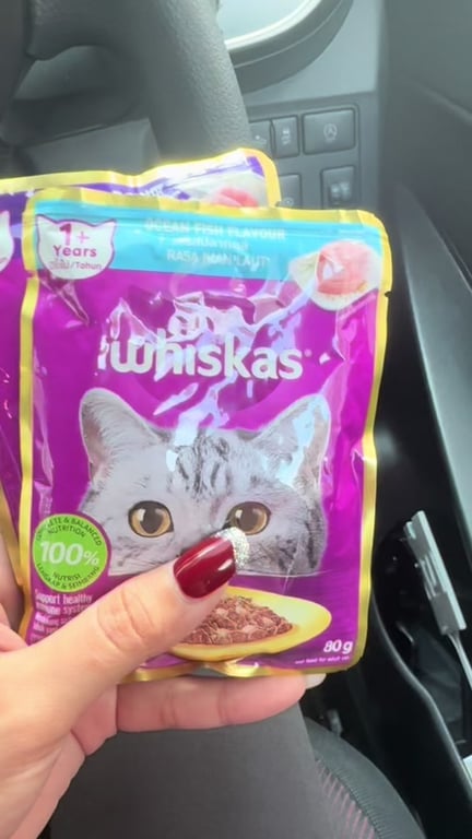 Cat feeding