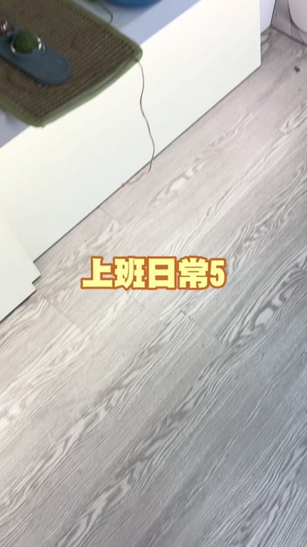 吳思慧