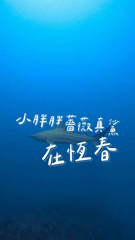 黃証楷