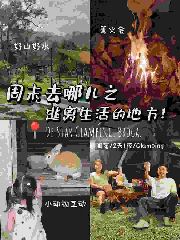 生活分享