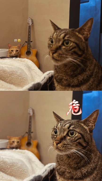 莊爵