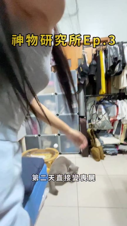 陳品妡