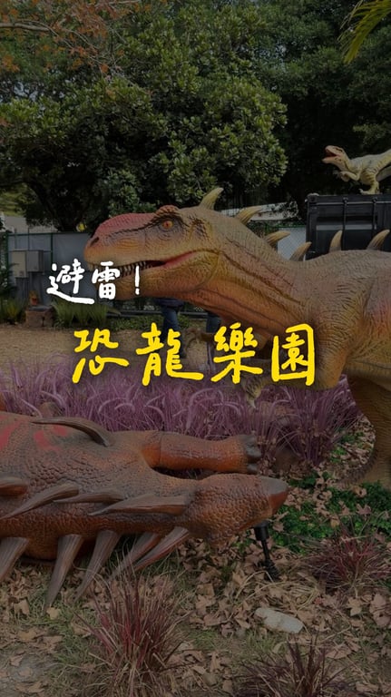 王虹安