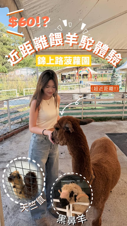 推廣香港鮮為人知的農場，改變香港都市人對農場偏僻及不方便的偏見，介紹農場內能跟動物近距離接觸的活動從而吸引更多人到訪，影片獲取超過十萬觀看次數及接近三千七百讚好以及超過五千次轉發