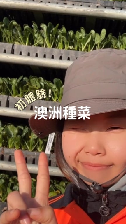澳洲種菜體驗