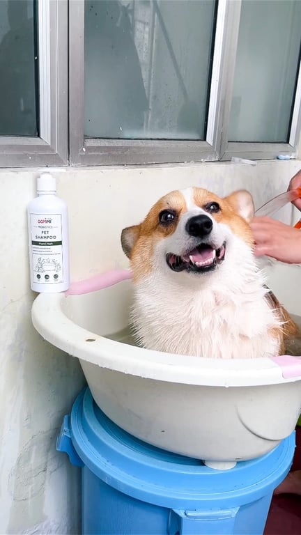 Oommi Probiotics Pet Shampoo