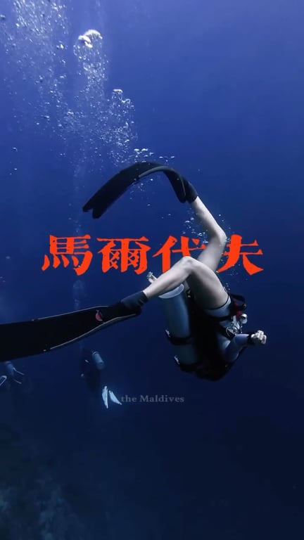 Diving Storytelling