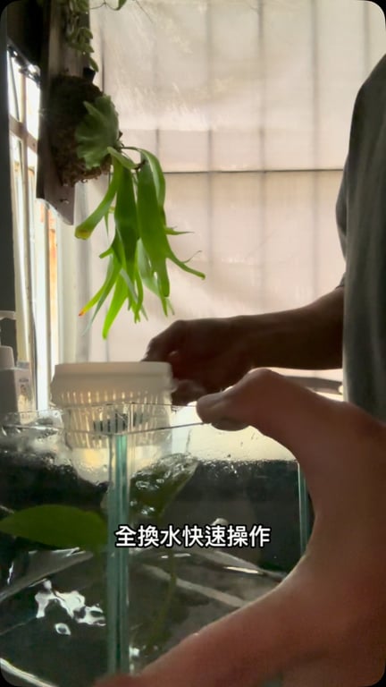 yule魚樂