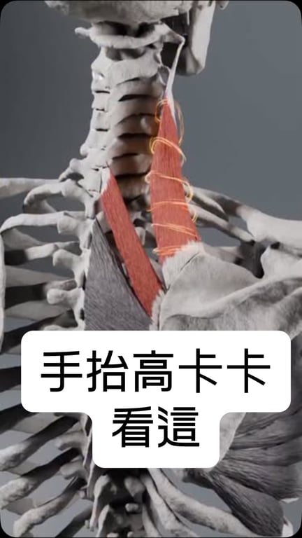 健康教學型 Reel:肩膀痠痛成因+改善動作示範,4,900+ 讚,大量觀眾私訊求教學