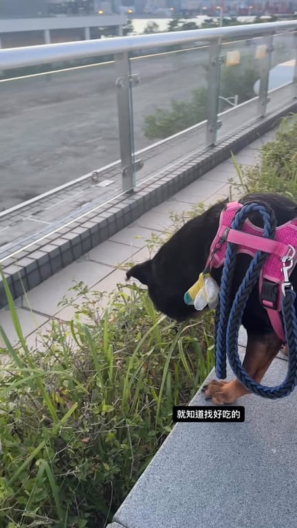 鍾融