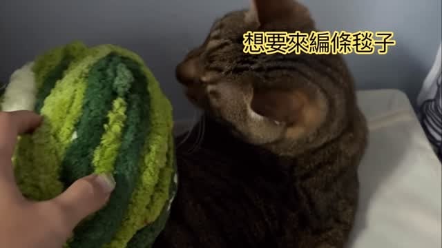日常手做