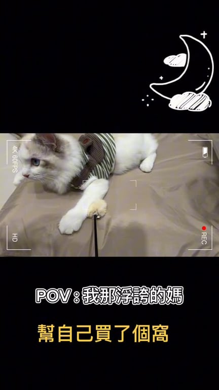 有種愛，是媽媽覺得這窩不夠大！