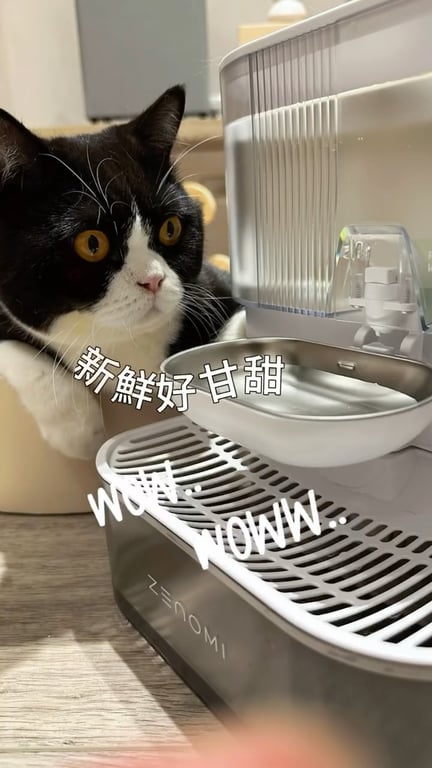 飲水機分享