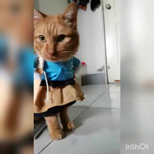 哩閒閒
