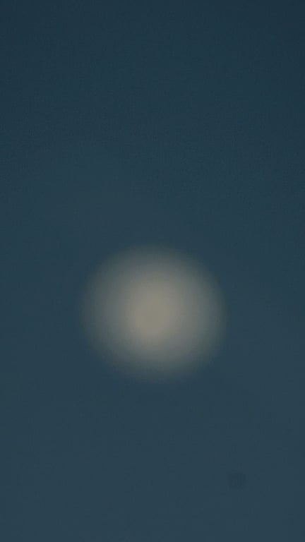 fly me to the moon