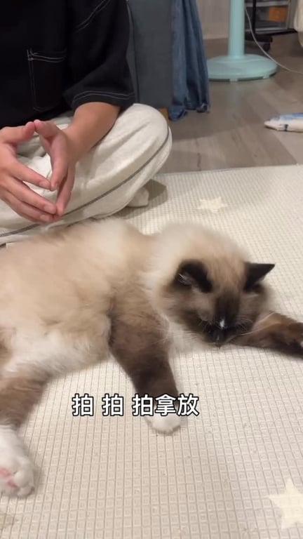 Uu Liang